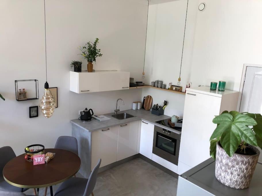 Luxurious Appartement With Sauna And Kitchen In Center Of Дордрехт Экстерьер фото